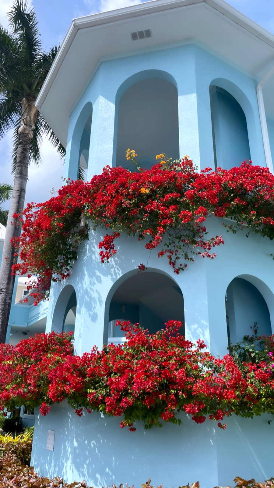 Coral Stone Club: a pale blue building with arched balconies spilling red bougainvillea