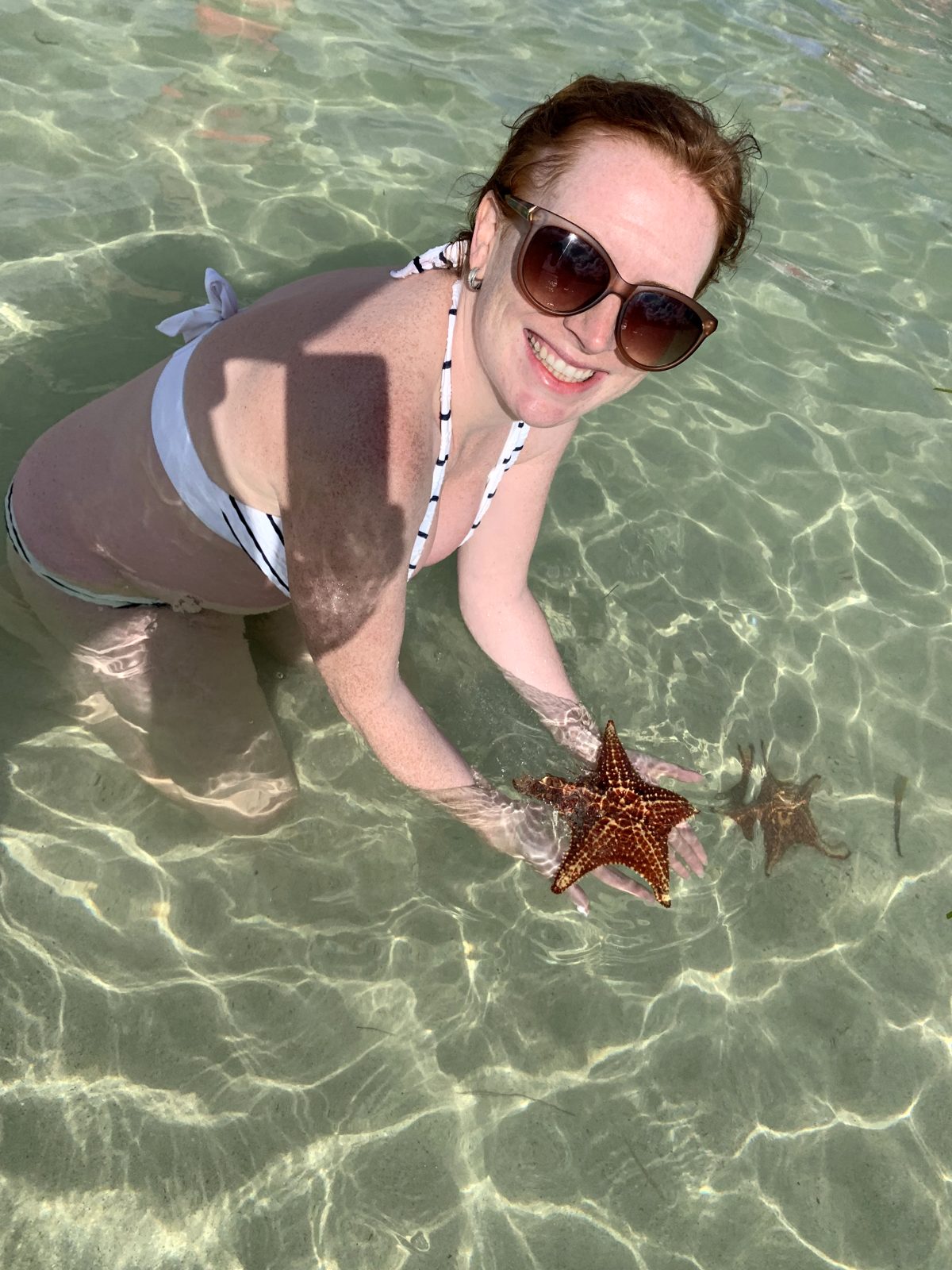 An orange starfish held just under the surface in clear, shallow water
