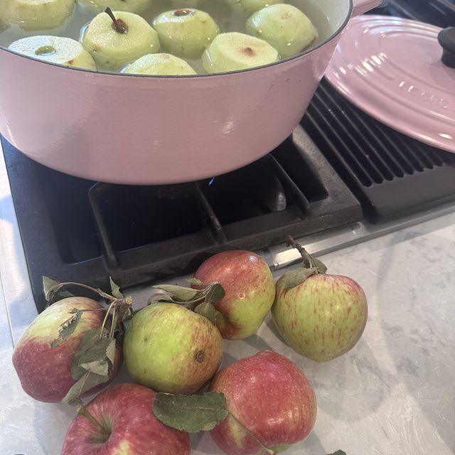 Freshly picked apples on the counter beside a pink Dutch oven of peeled apples in water
