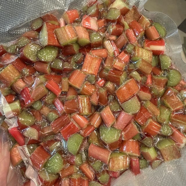 Chopped rhubarb vacuum sealed in a bag for the freezer